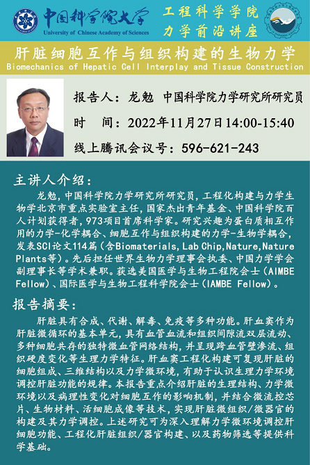 龙1